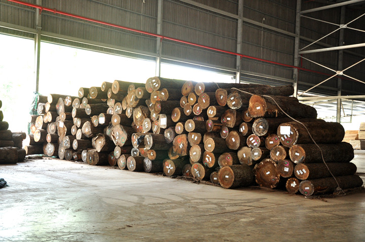 Logs Inspection & Sorting