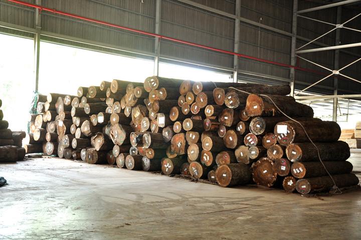 Logs Inspection & Sorting